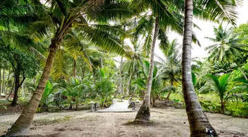 Sandyy Wavess Beach Resort