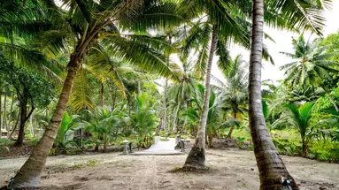 Sandyy Wavess Beach Resort