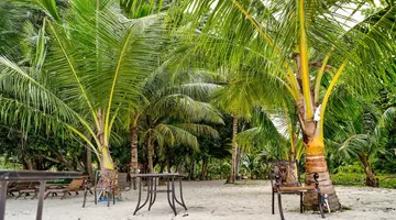 Sandyy Wavess Beach Resort