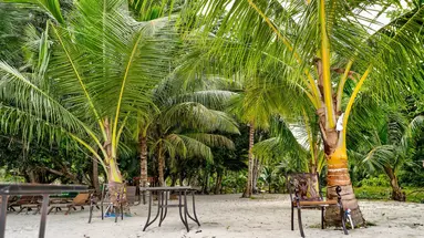 Sandyy Wavess Beach Resort