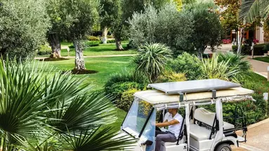 Sani Beach