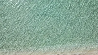 Sani Beach