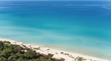 Sani Beach