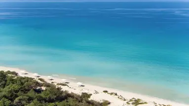Sani Beach