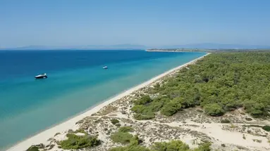 Sani Beach