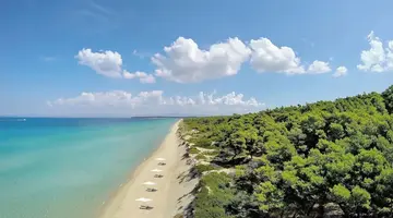 Sani Beach