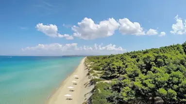Sani Beach