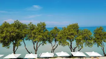 SANI CLUB