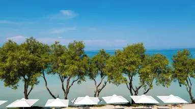 SANI CLUB