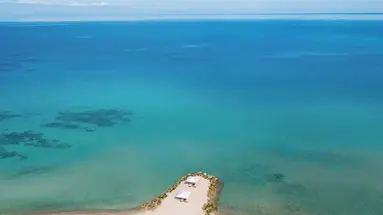SANI CLUB