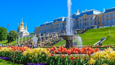 Sankt Petersburg 7 dni