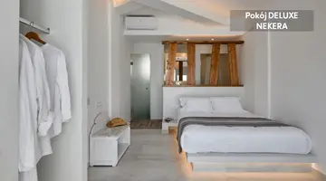 Santorini View