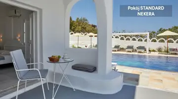 Santorini View
