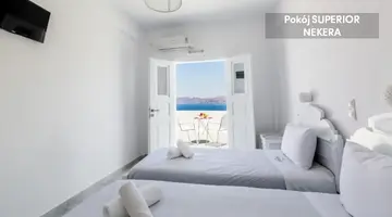 Santorini View