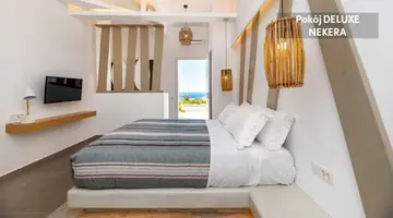 Santorini View
