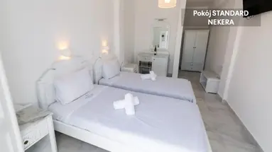 Santorini View