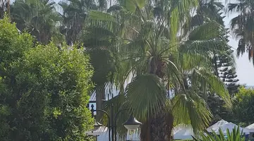 Saphir Hotel & Villas