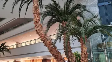 Saphir Resort & Spa Hotel
