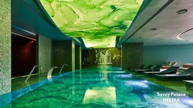 Savoy Palace - The Leading Hotels of the World - Savoy Signature
