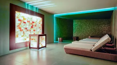 Savoy Palace