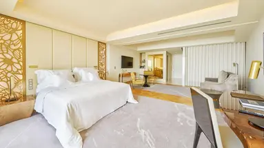 Savoy Palace