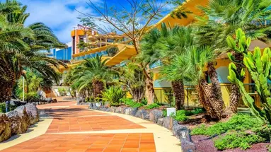 SBH CLUB PARAISO PLAYA