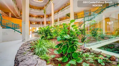 SBH Costa Calma Beach Resort