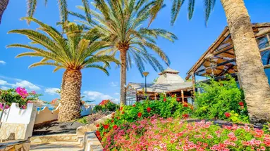 SBH Hotel Costa Calma Beach Resort
