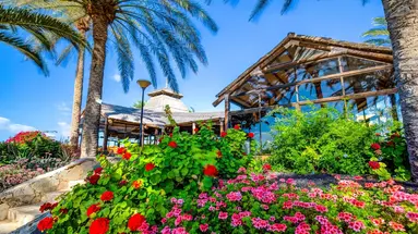 SBH Hotel Costa Calma Beach Resort