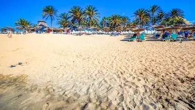 SBH Hotel Costa Calma Beach Resort