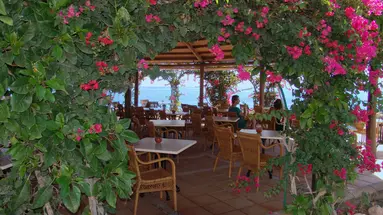 SBH TARO BEACH