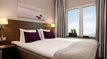 Scandic No 25