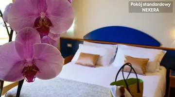 SCIARON HOTEL