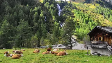SCOL Sporthotel Großglockner