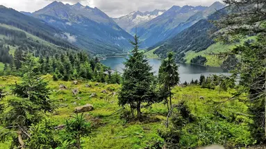SCOL Sporthotel Zillertal