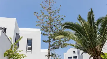 Scorpios Beach Hotel