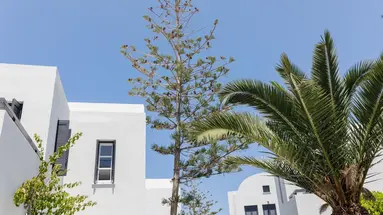 Scorpios Beach Hotel