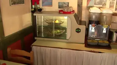 Sea Bird