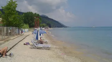 Sea Bird