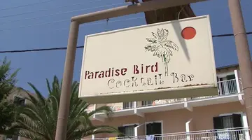 Sea Bird