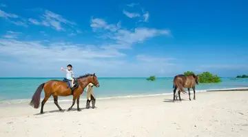 Sea Cliff Resort & SPA