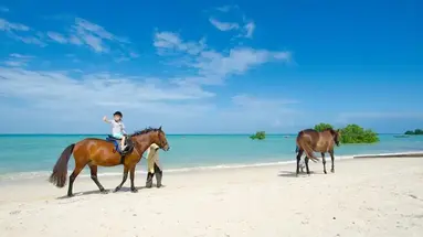 Sea Cliff Resort & SPA