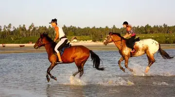 Sea Cliff Resort & SPA