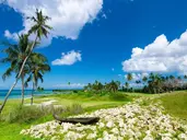 Sea Cliff Resort & SPA