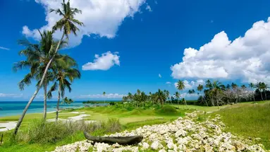 Sea Cliff Resort & SPA