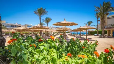Sea Gull Resort