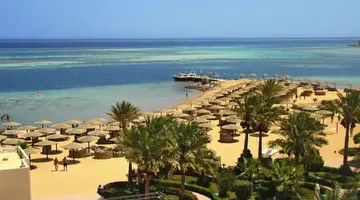 Sea Star Beau Rivage