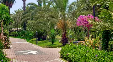 Sea World Resort and Spa
