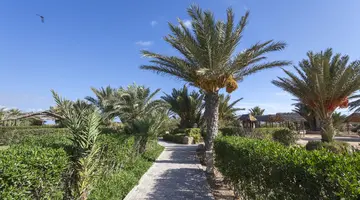 SEABEL RYM BEACH