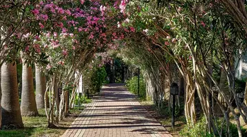 SEADEN SEA WORLD RESORT & SPA